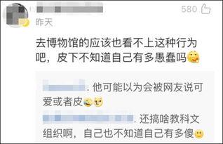 侮辱明星的微博,侮辱微博引发的舆论风波”